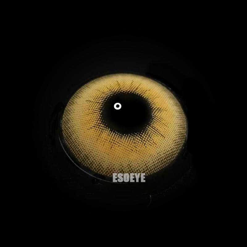 LA Girl Brown Colored Contact Lenses Yearly