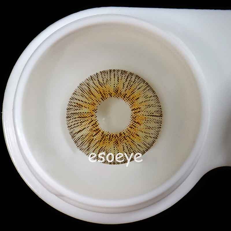 New York Panama Brown Contact Lenses Yearly