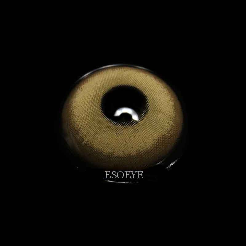 X-Bronze Portal Colored Contact Lenses Yearly